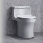 toilet duduk