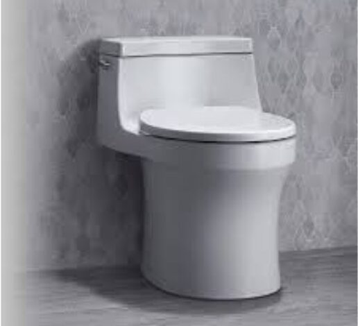 Desain Minimalis Toilet Duduk yang Memaksimalkan Ruang Kamar Mandi