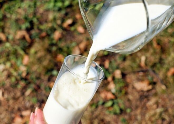 Segudang Manfaat Susu yang Bisa Mengubah Hidup Anda dalam Sekejap!